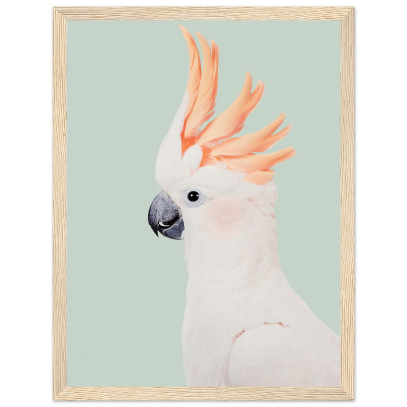 Poster: Cockatoo