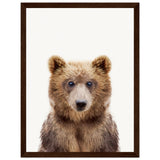 Poster: Baby Bear