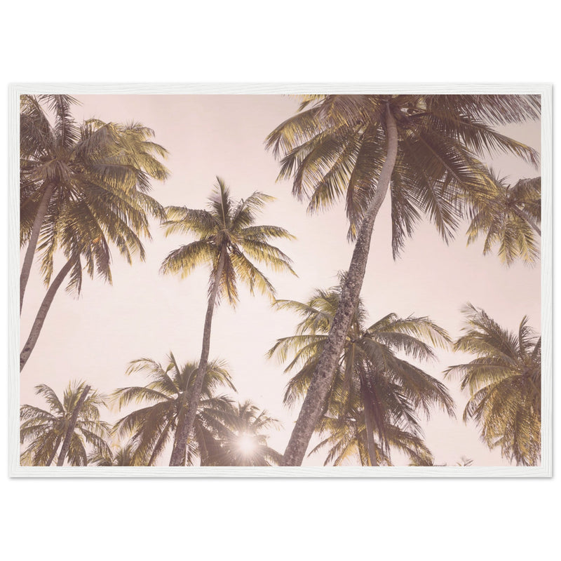 Poster: Blush Palm Trees