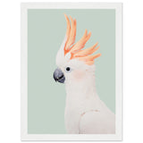 Poster: Cockatoo