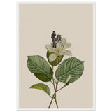 Poster: Botanical vintage cameraman