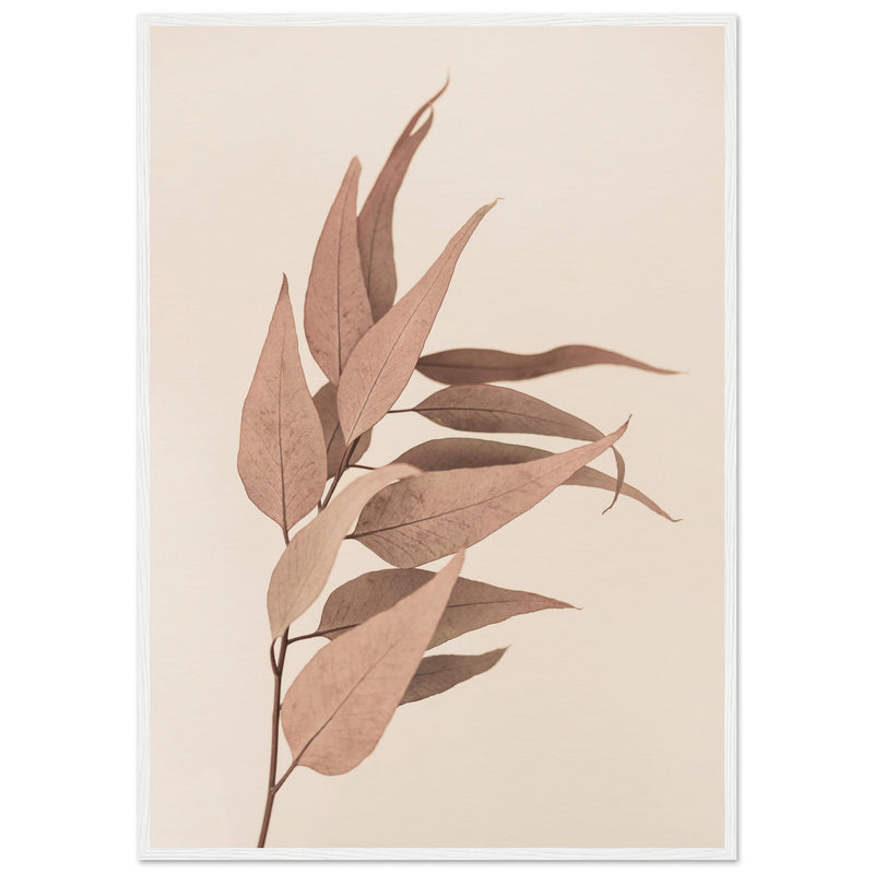 Poster: Dried Eucalyptus