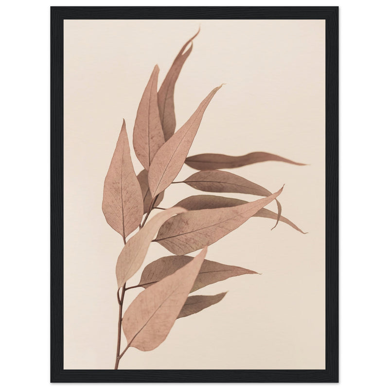 Poster: Dried Eucalyptus