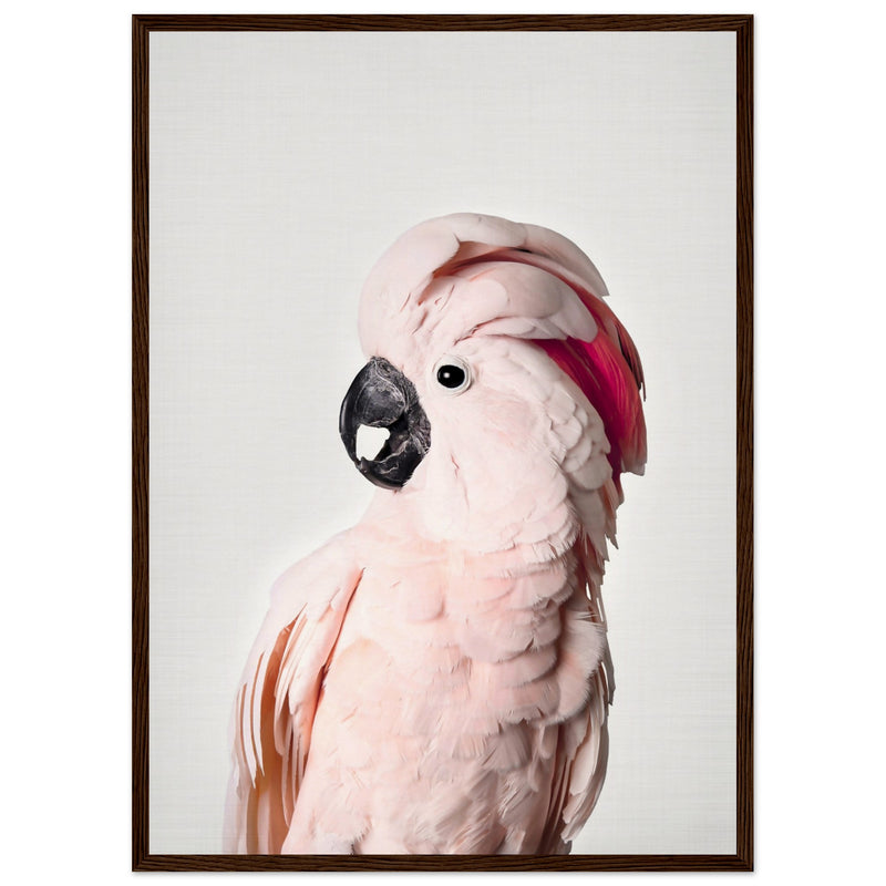 Poster: Pink Cockatoo