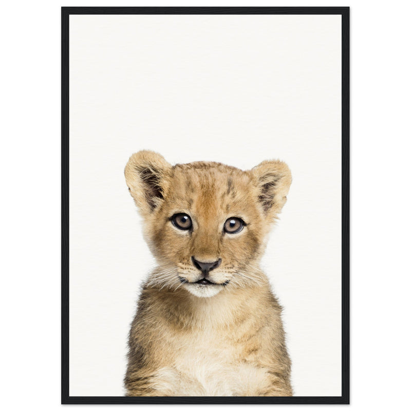 Poster: Baby Lion