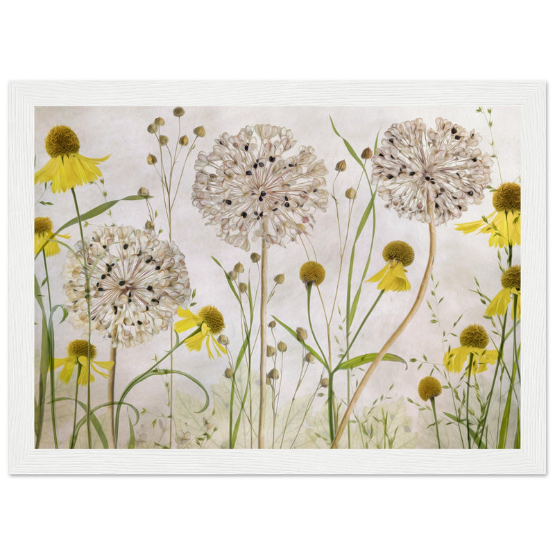 Poster: Alliums and heleniums