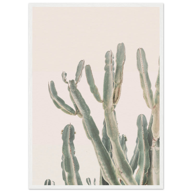 Poster: Sunrise Cactus