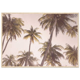 Poster: Blush Palm Trees