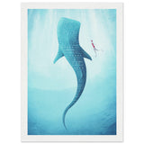 Poster: Whale Shark