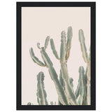 Poster: Sunrise Cactus