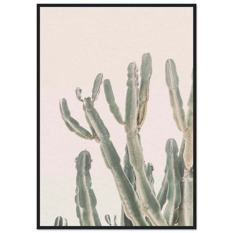 Poster: Sunrise Cactus