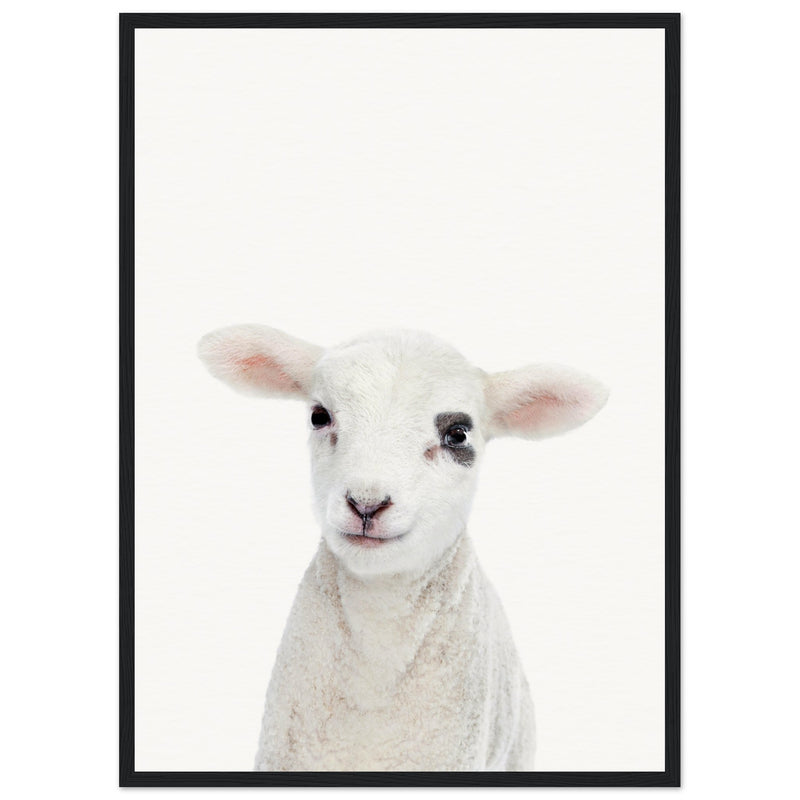 Poster: Baby Lamb