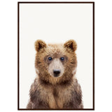 Poster: Baby Bear