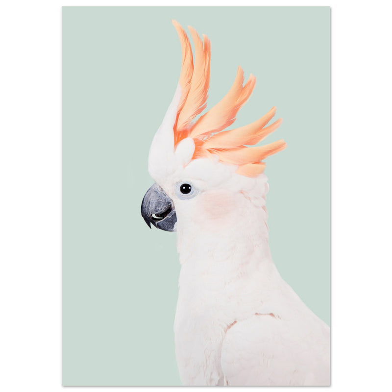 Poster: Cockatoo