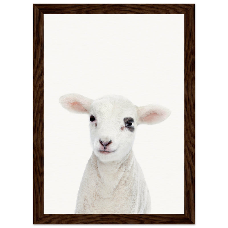 Poster: Baby Lamb