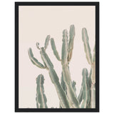 Poster: Sunrise Cactus