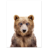 Poster: Baby Bear