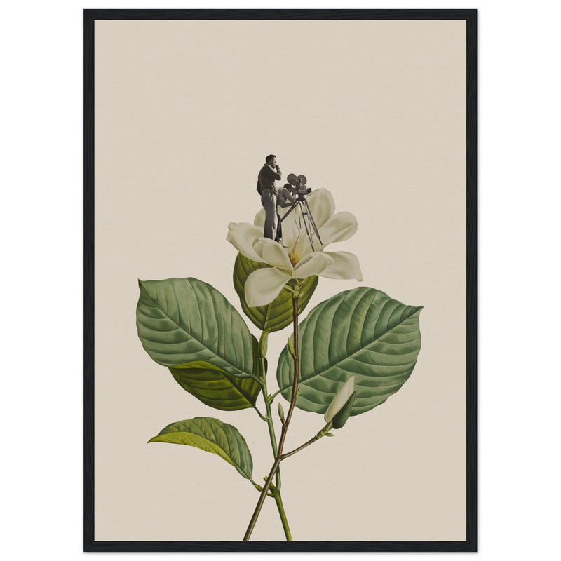 Poster: Botanical vintage cameraman