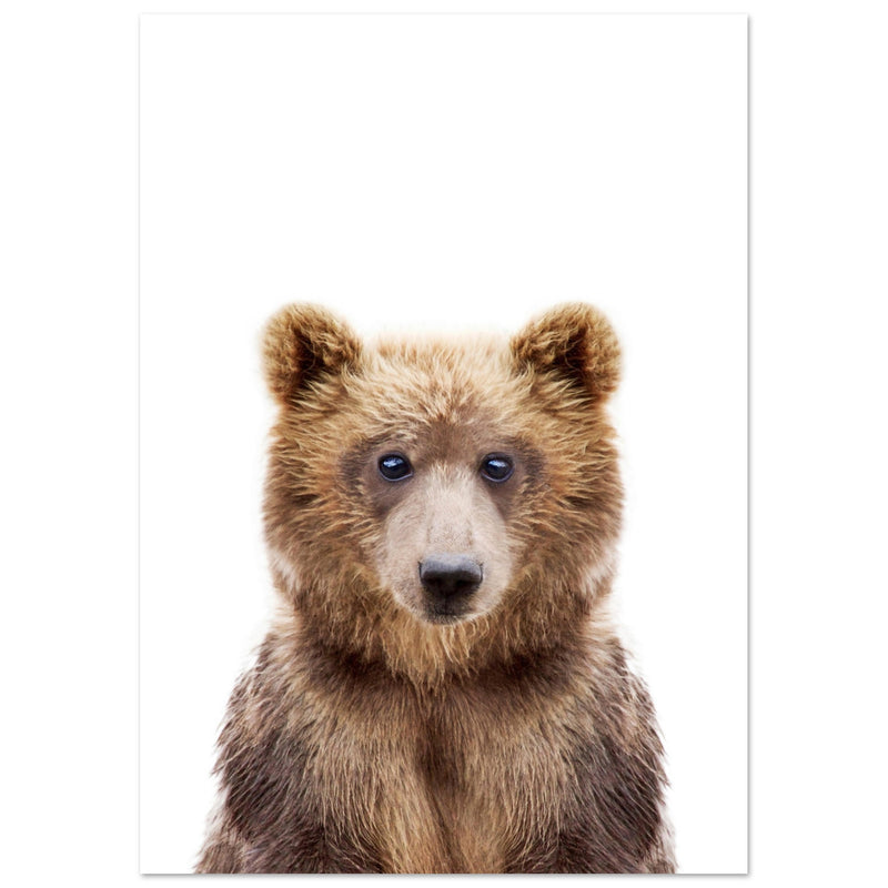 Poster: Baby Bear