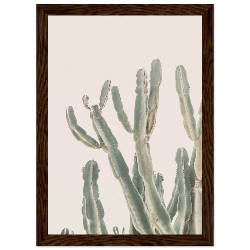 Poster: Sunrise Cactus