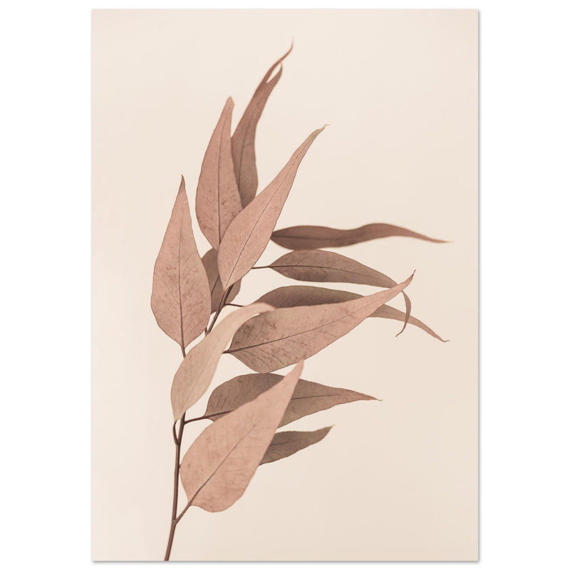 Poster: Dried Eucalyptus