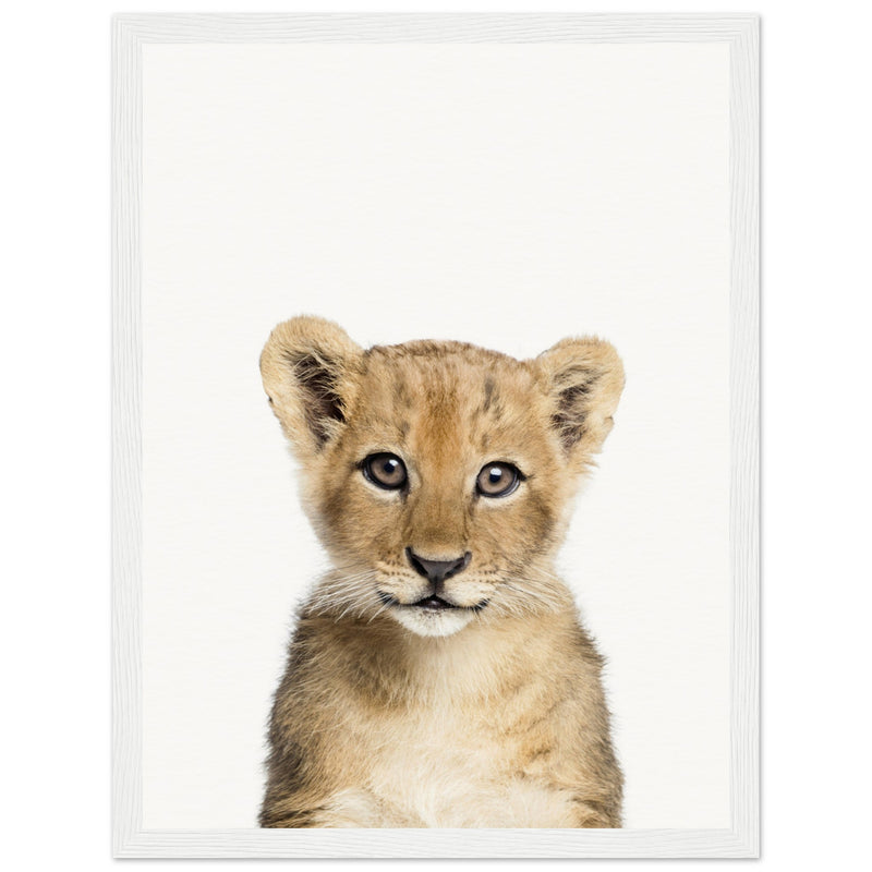 Poster: Baby Lion