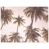 Poster: Blush Palm Trees