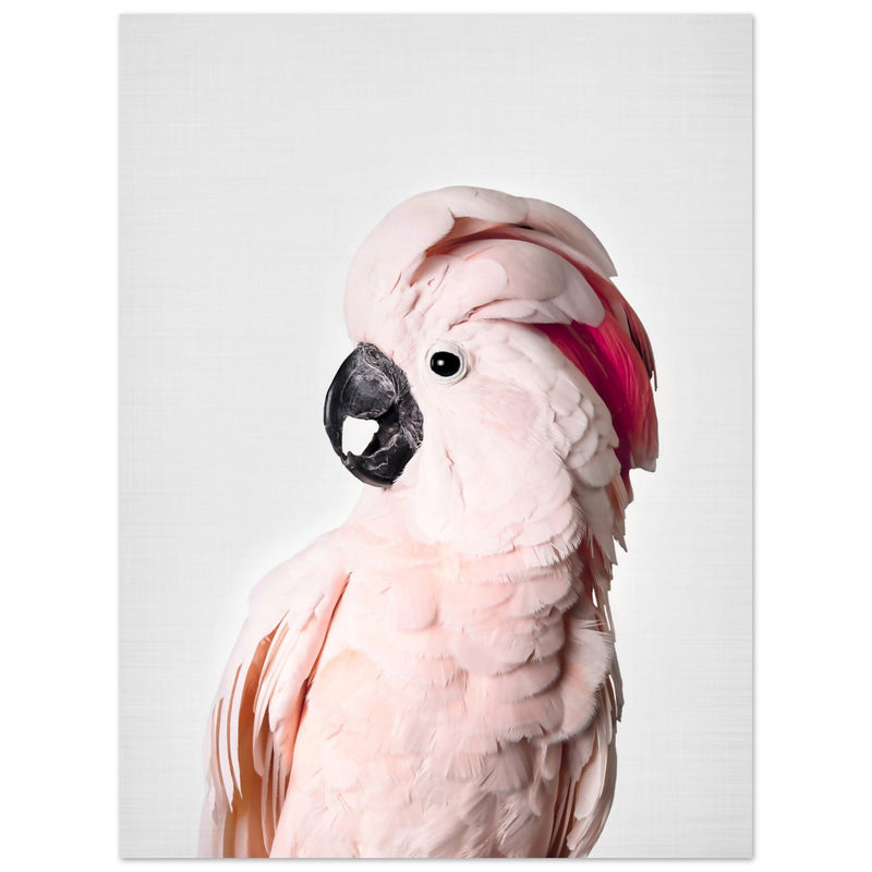 Poster: Pink Cockatoo