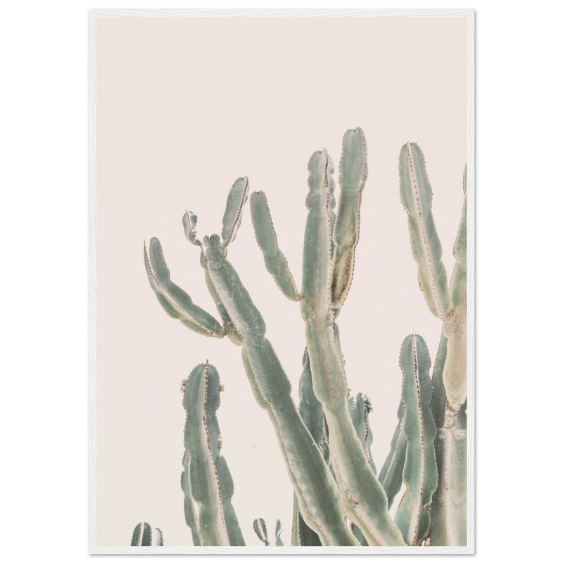 Poster: Sunrise Cactus