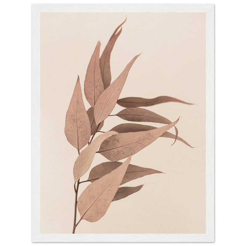 Poster: Dried Eucalyptus