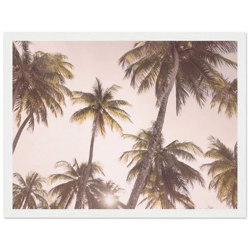 Poster: Blush Palm Trees