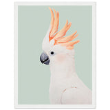 Poster: Cockatoo