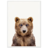 Poster: Baby Bear