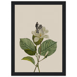 Poster: Botanical vintage cameraman