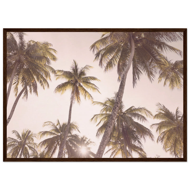 Poster: Blush Palm Trees