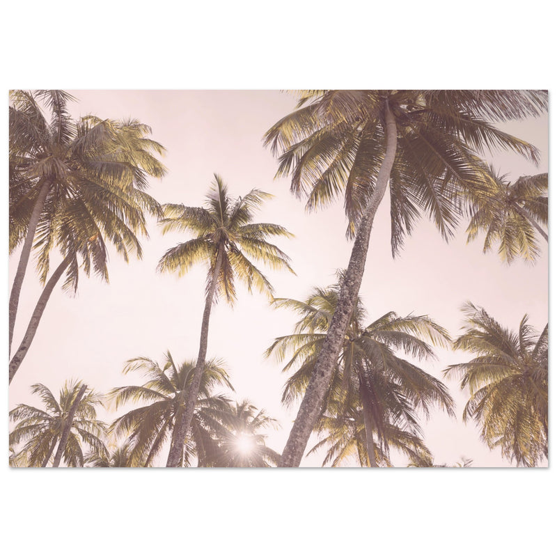 Poster: Blush Palm Trees