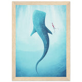 Poster: Whale Shark