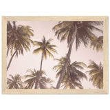 Poster: Blush Palm Trees