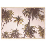 Poster: Blush Palm Trees