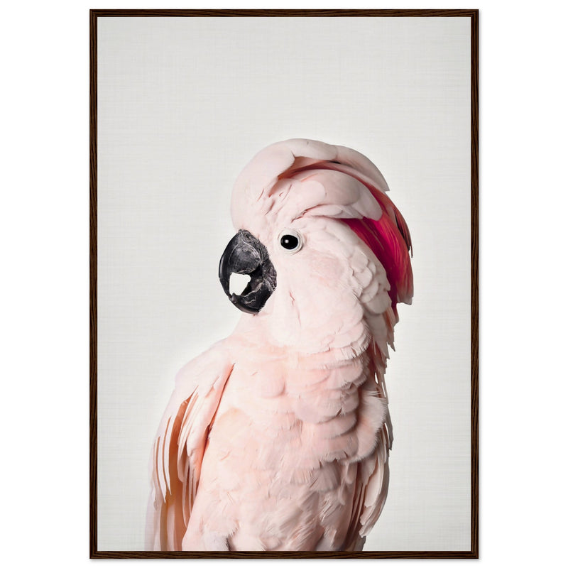 Poster: Pink Cockatoo