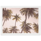 Poster: Blush Palm Trees