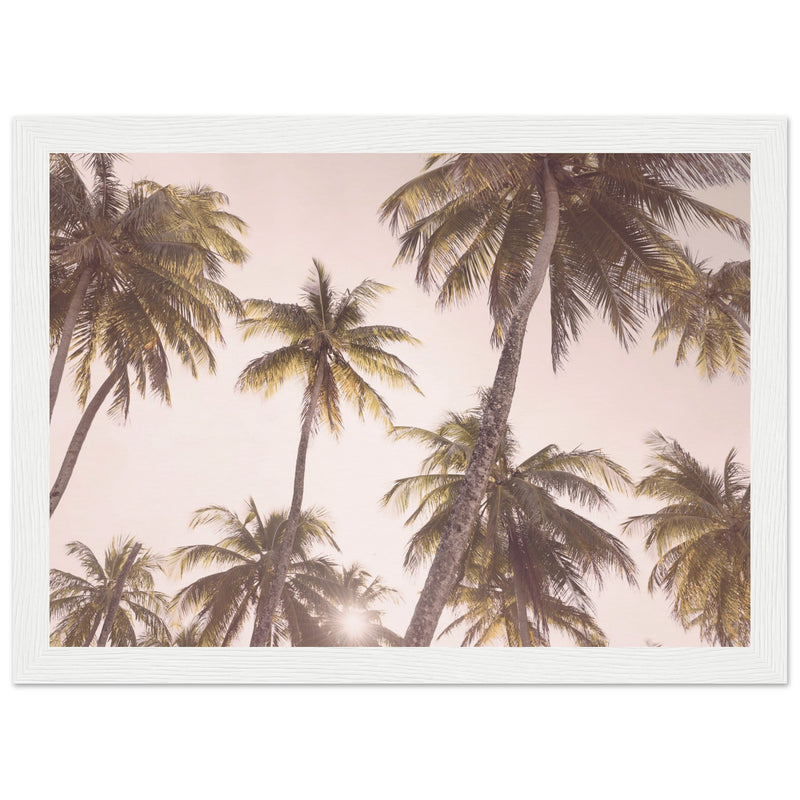 Poster: Blush Palm Trees