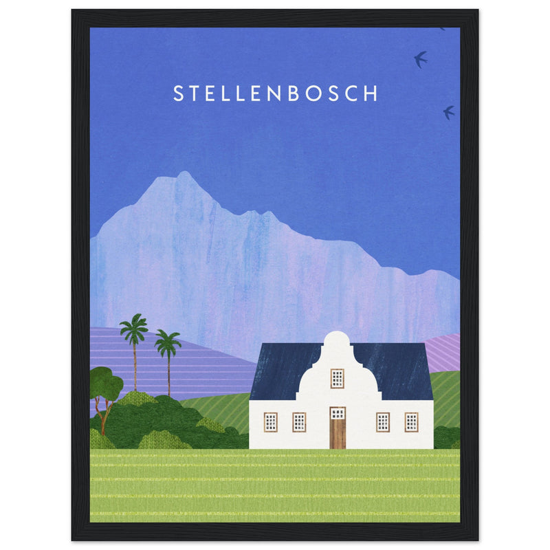 Poster: Stellenbosch Travel Poster