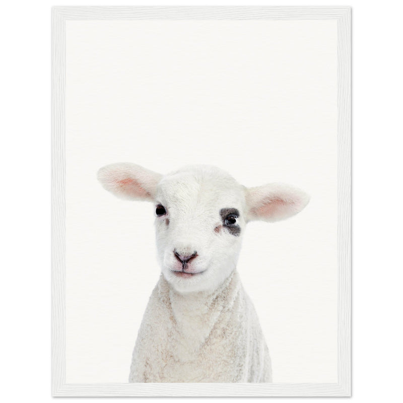 Poster: Baby Lamb