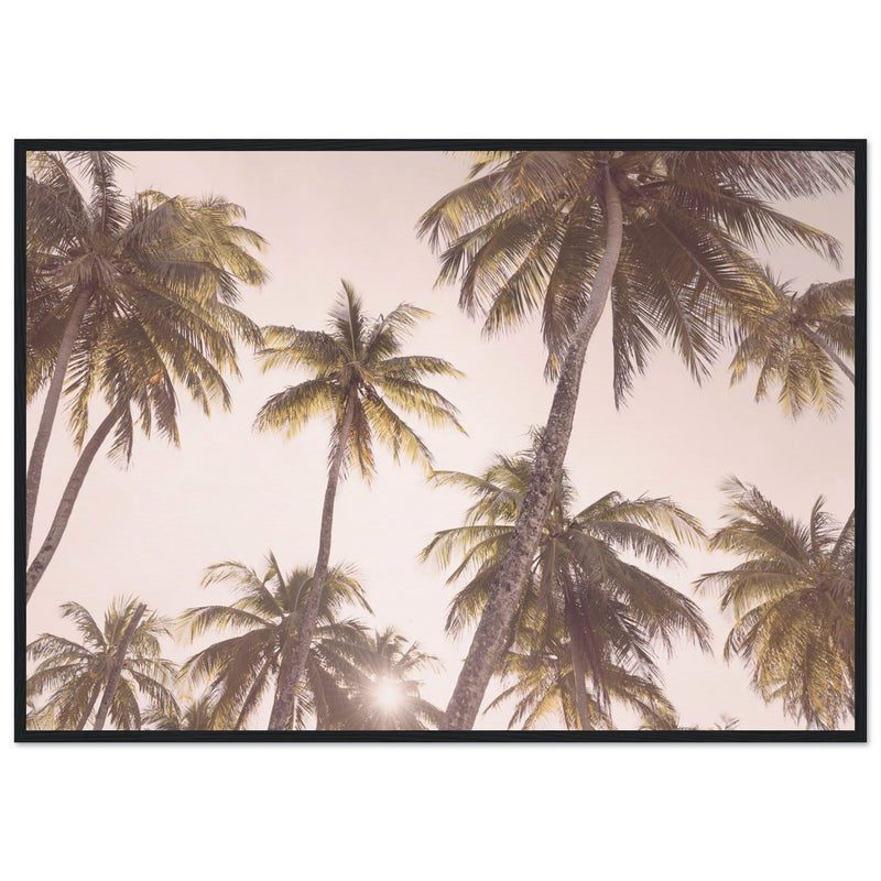 Poster: Blush Palm Trees