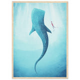 Poster: Whale Shark