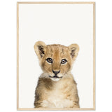 Poster: Baby Lion