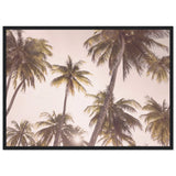 Poster: Blush Palm Trees