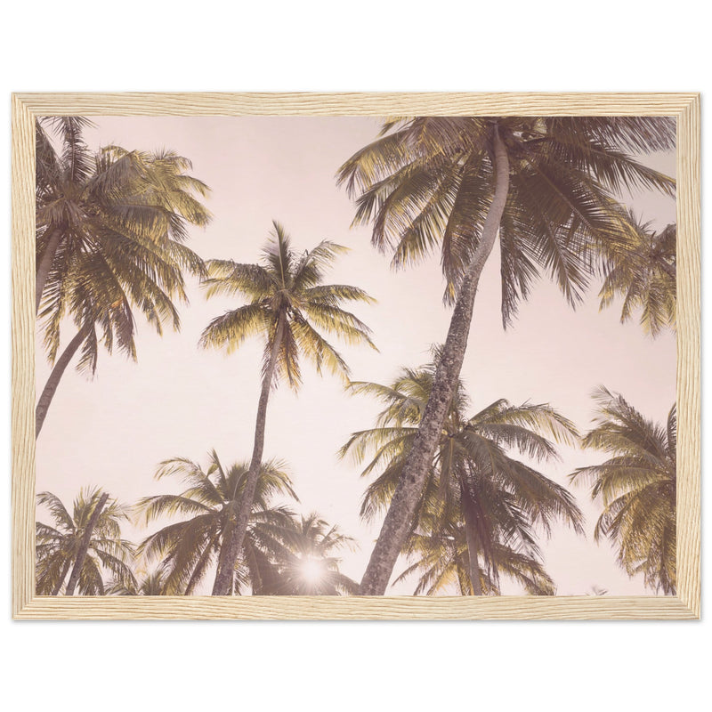 Poster: Blush Palm Trees