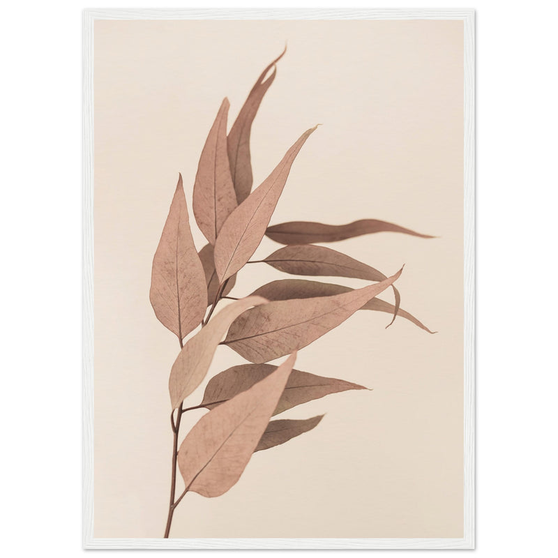 Poster: Dried Eucalyptus